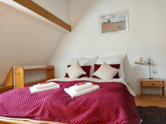 Apartament W Centrum Przy Kominku Zakopane Extérieur photo